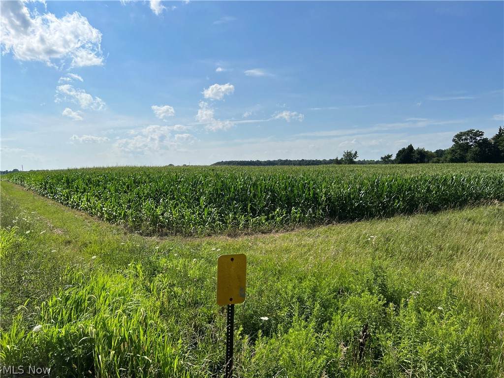 Lot B Cook Road - Photo 1