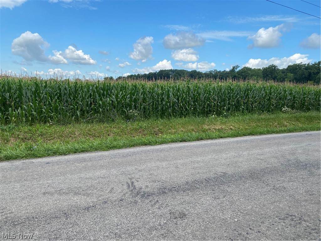 Nonpariel Road - Photo 1