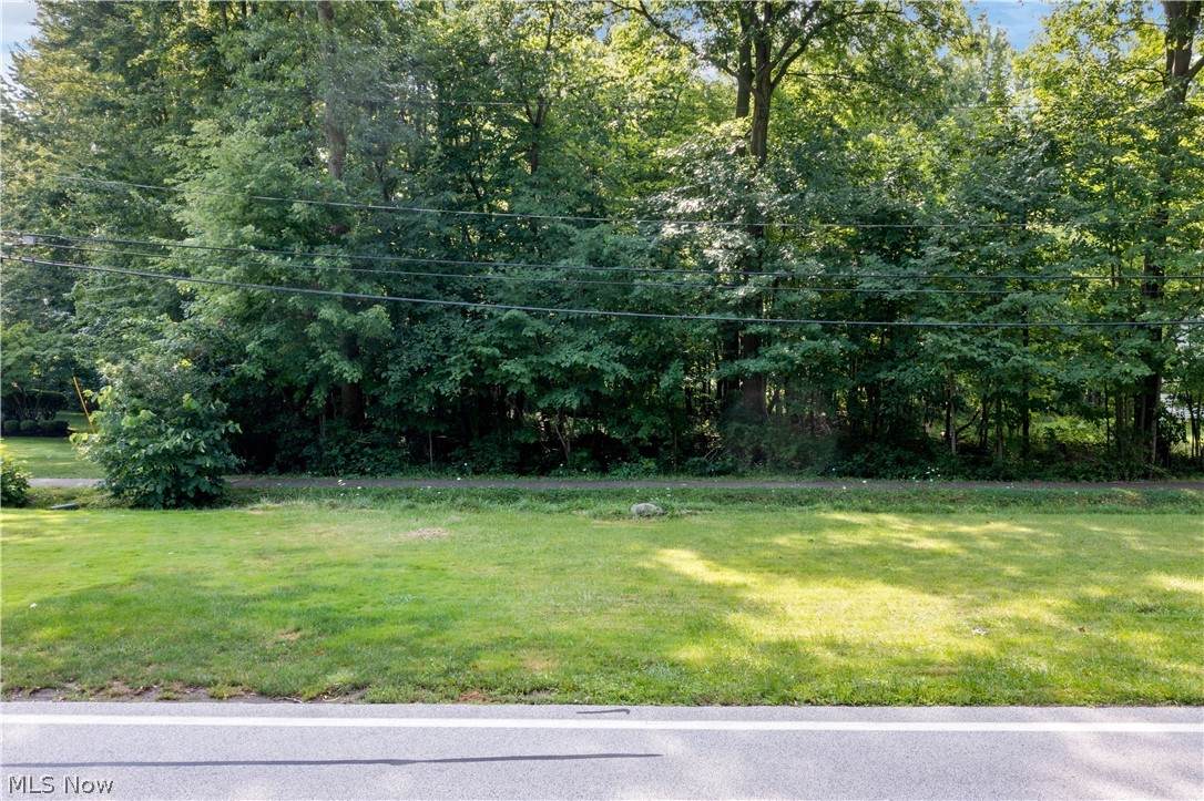 Hilliard Road - Photo 1