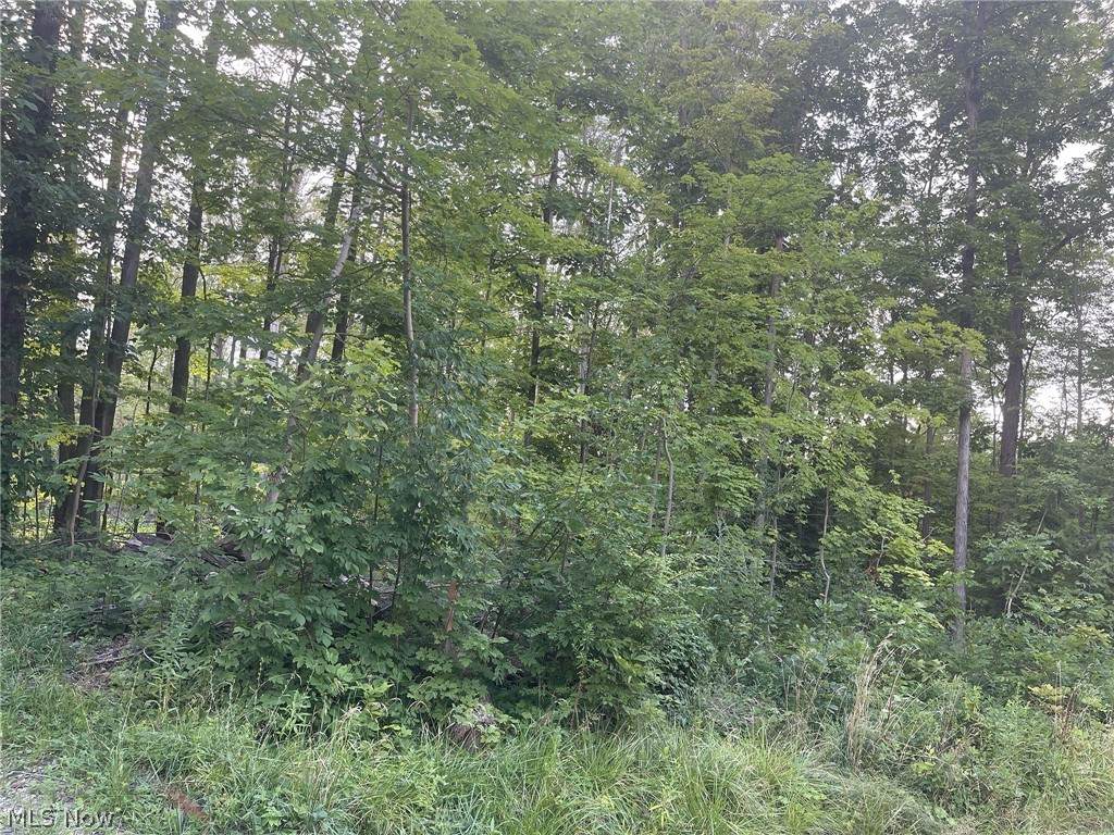 6770 Dewey Road - Photo 1