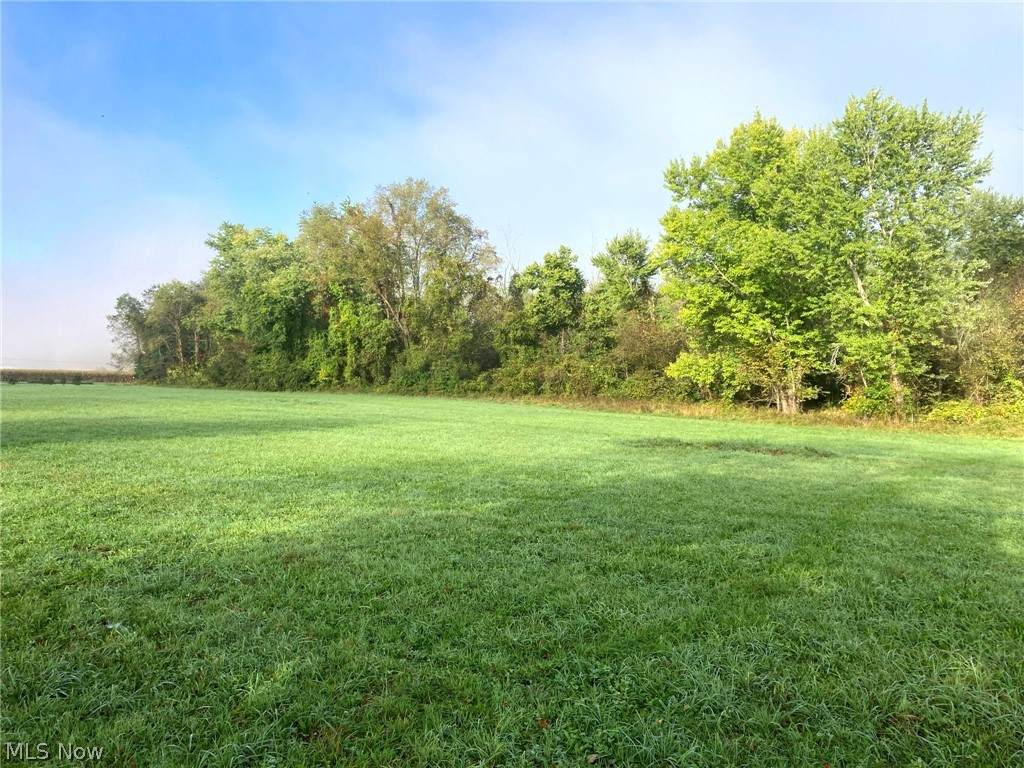 Lot 4 Wolf Road - Photo 1