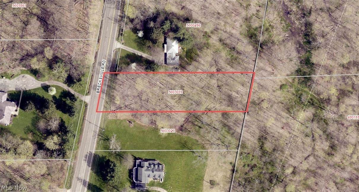 4253 Brecksville Road - Photo 1