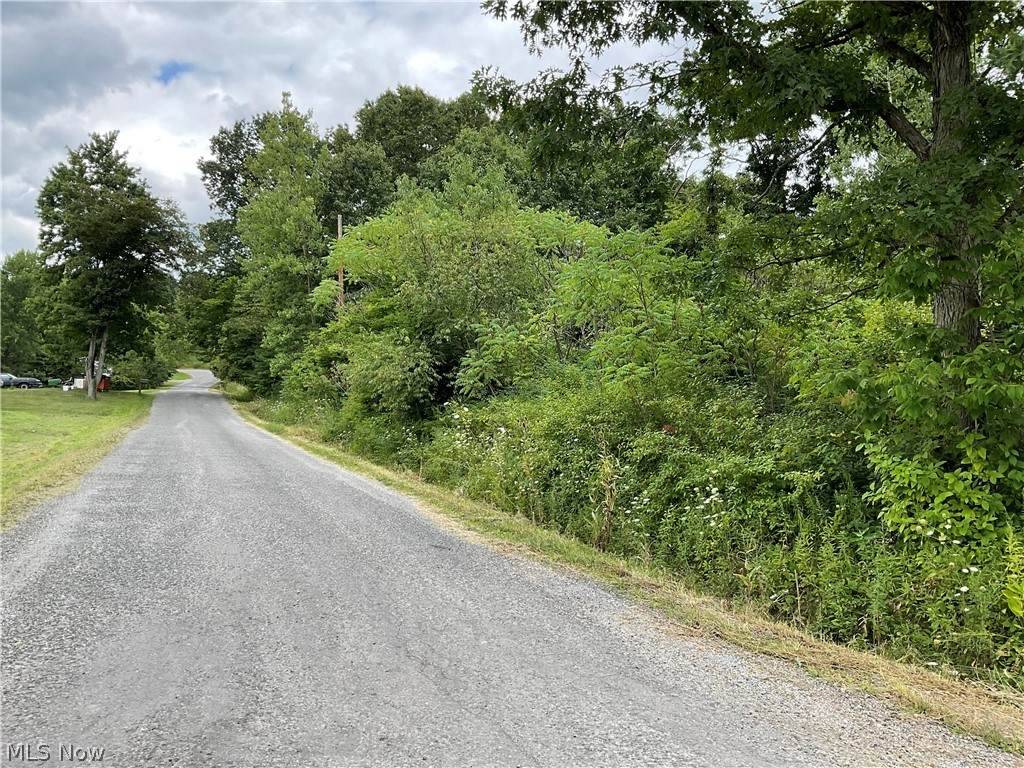 16854 Cornell Road - Photo 1