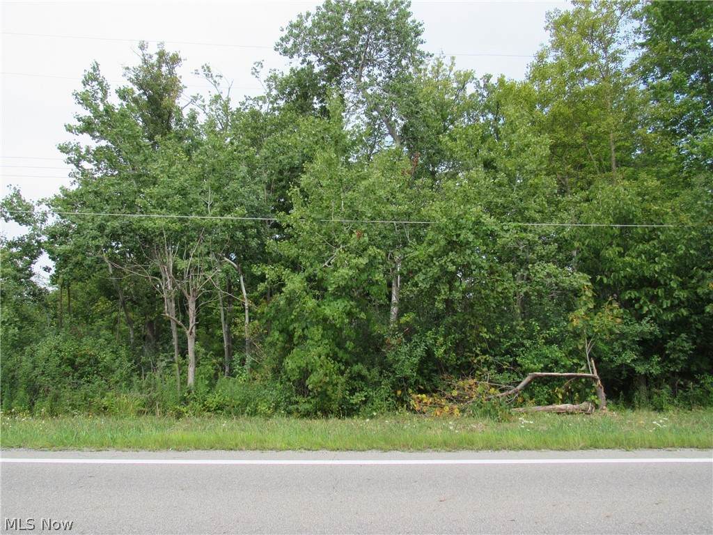 Rock Creek Road - Photo 1
