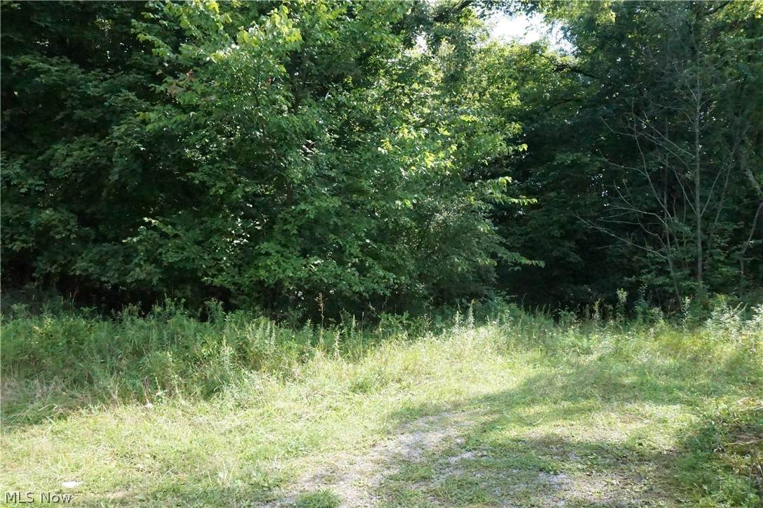 County Road 292 - Photo 1