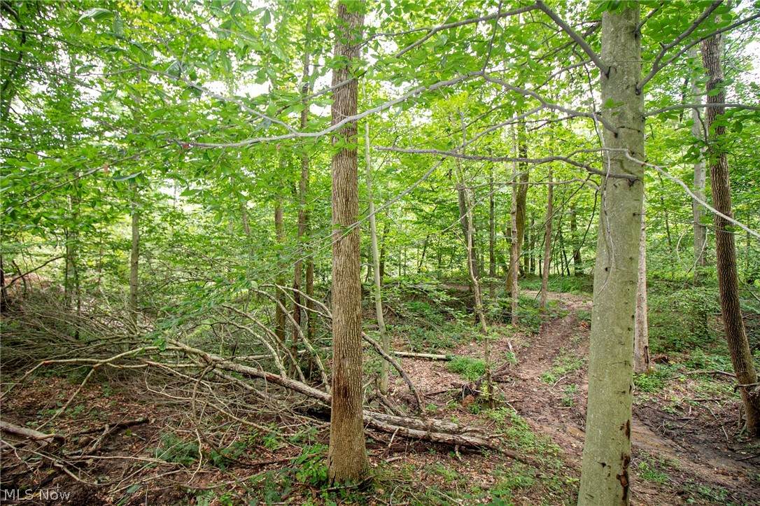 00 Teeters Ridge Road - Photo 1