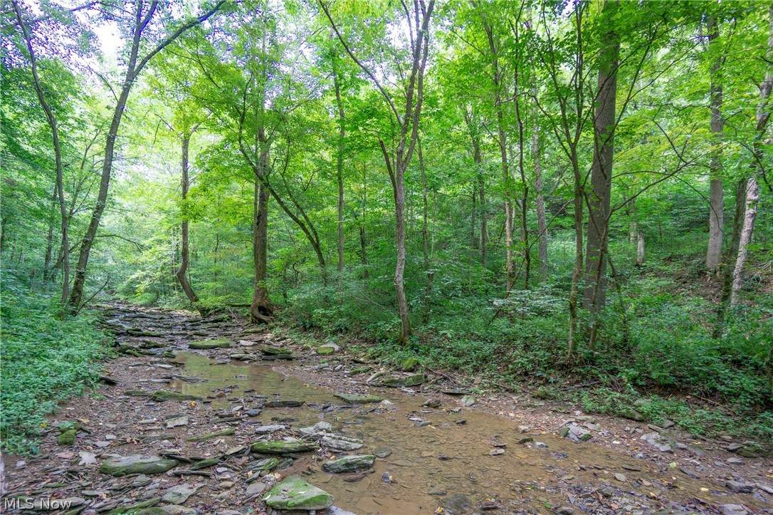 0 Boltz Hill Road - Photo 1
