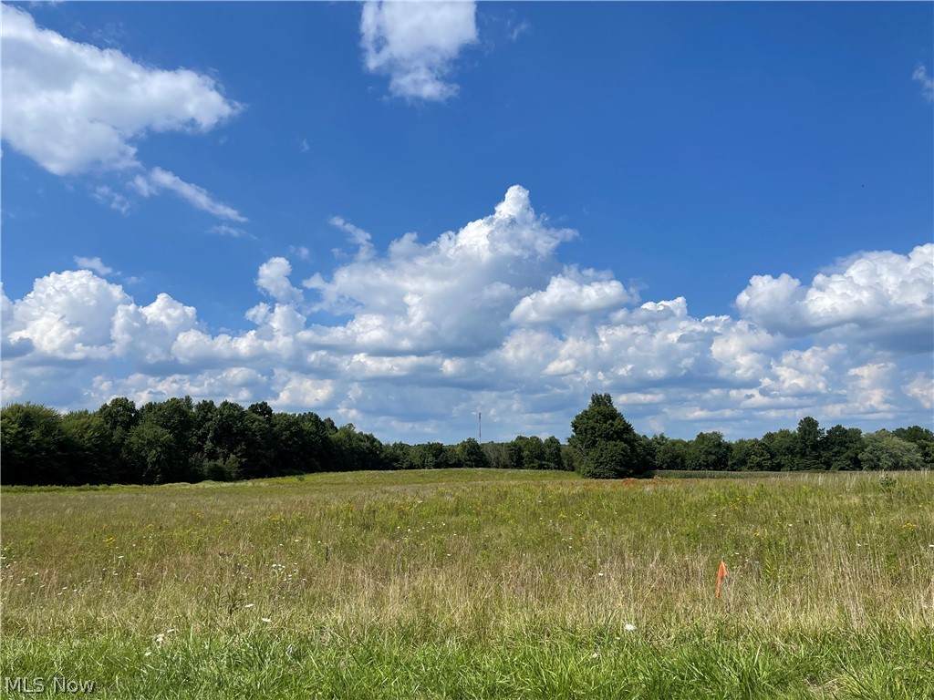 5260 Miller Road - Photo 1