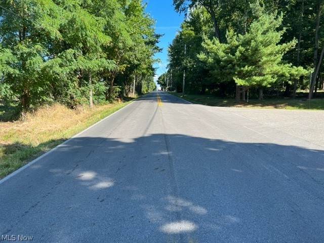 South Raccoon Road - Photo 1