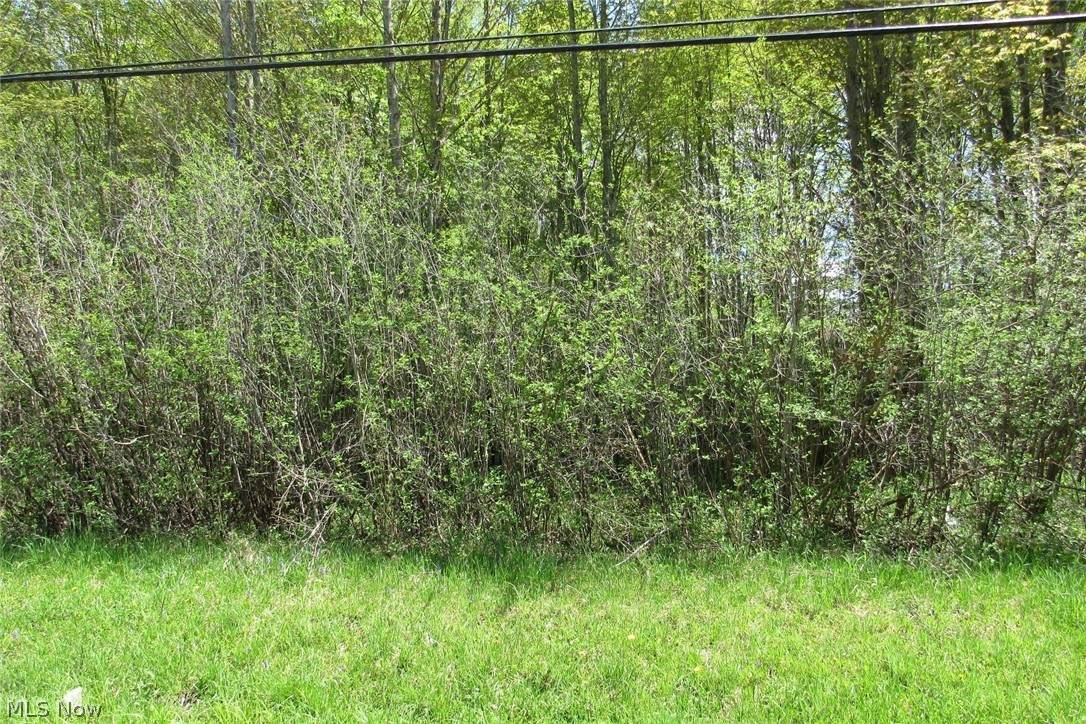 Rome Rock Creek Road - Photo 1