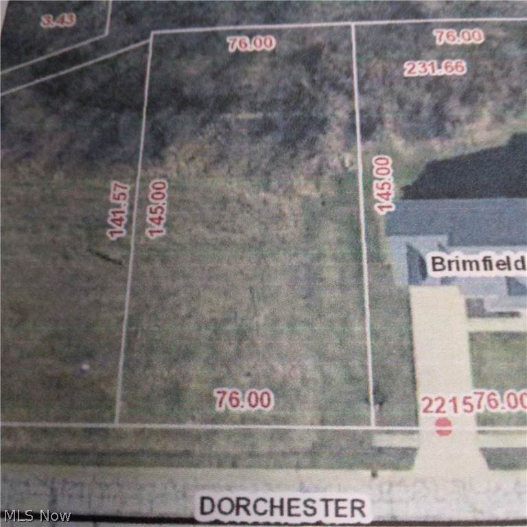 Dorchester Drive - Photo 1