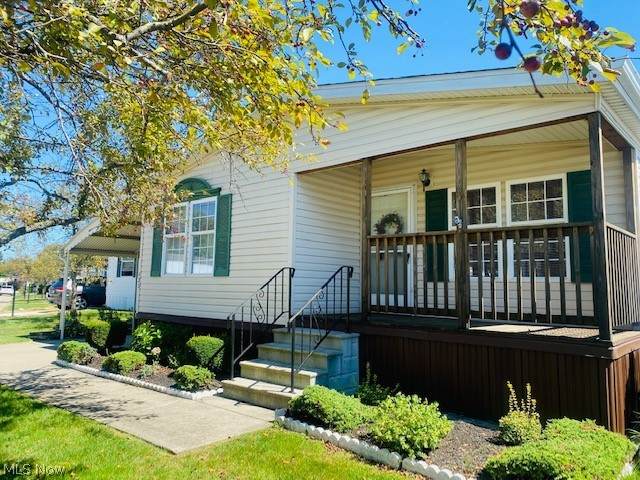27202 Cook Road - Photo 1