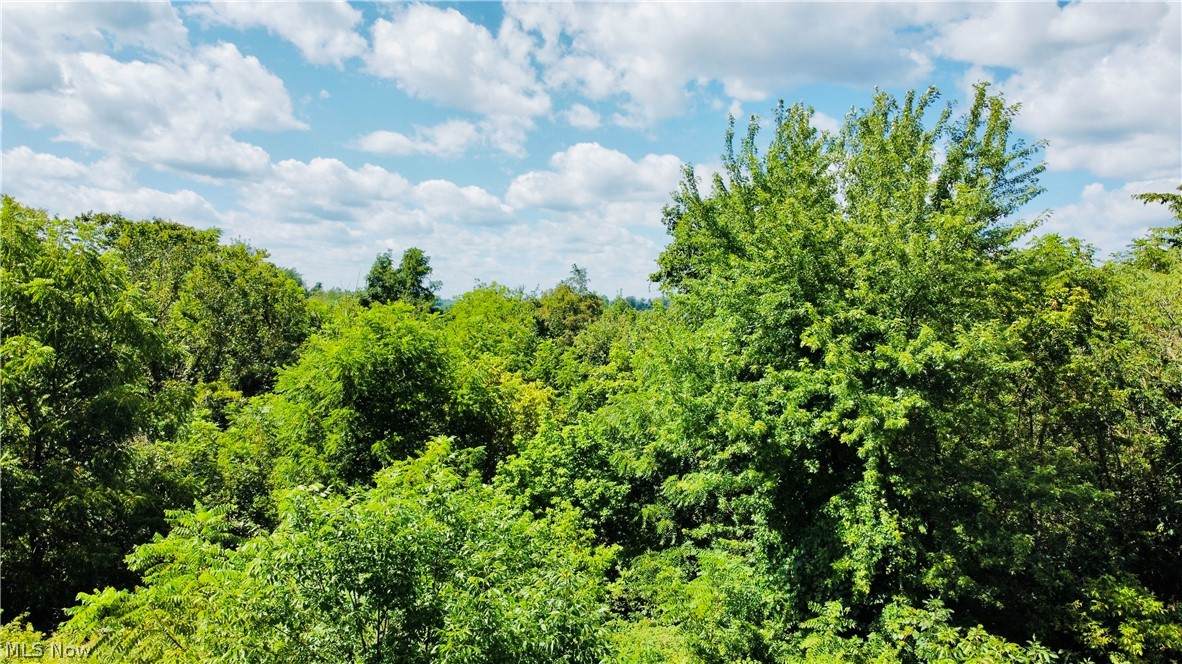 LOT 5 TBD Northview Road - Photo 1
