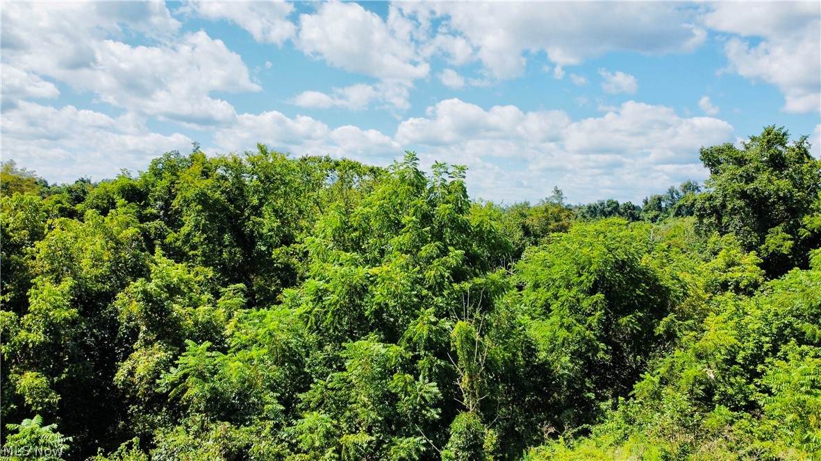 LOT 6 TBD Northview Road - Photo 1