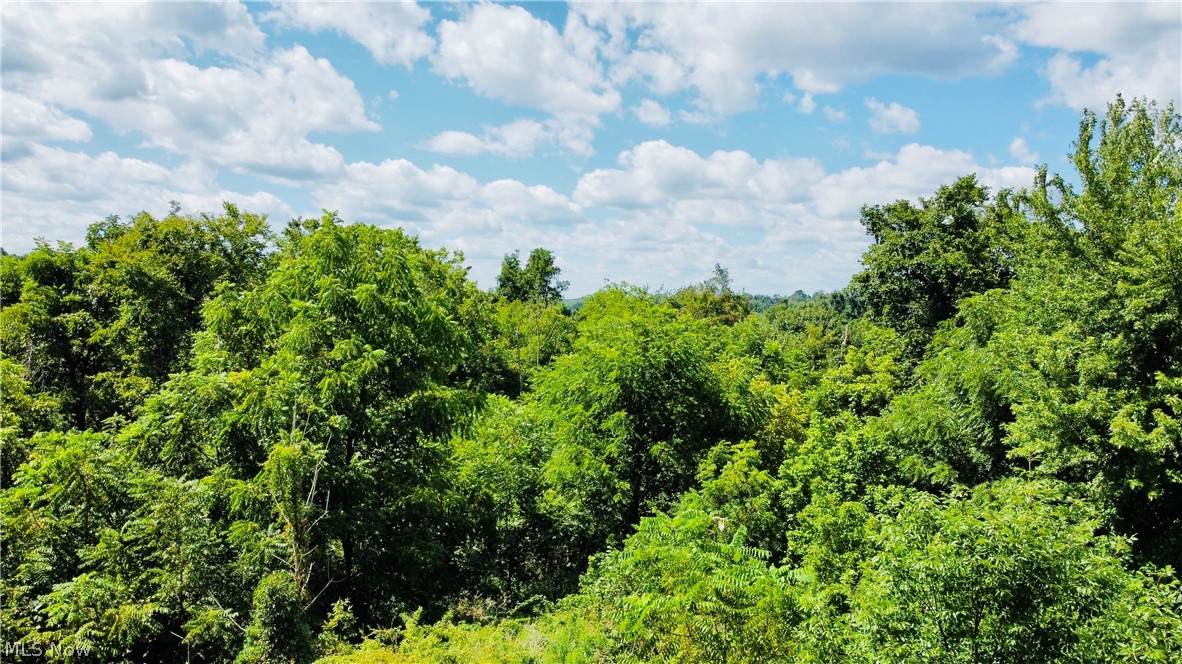LOT 7 TBD Northview Road - Photo 1