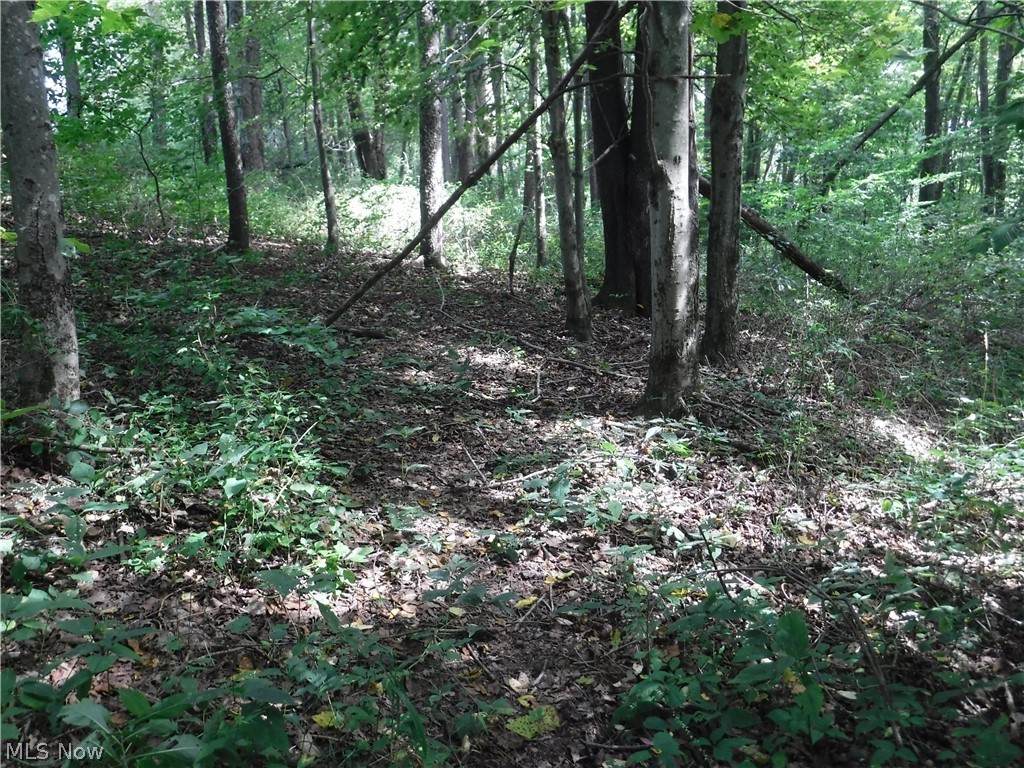 Warner Lane - Photo 1
