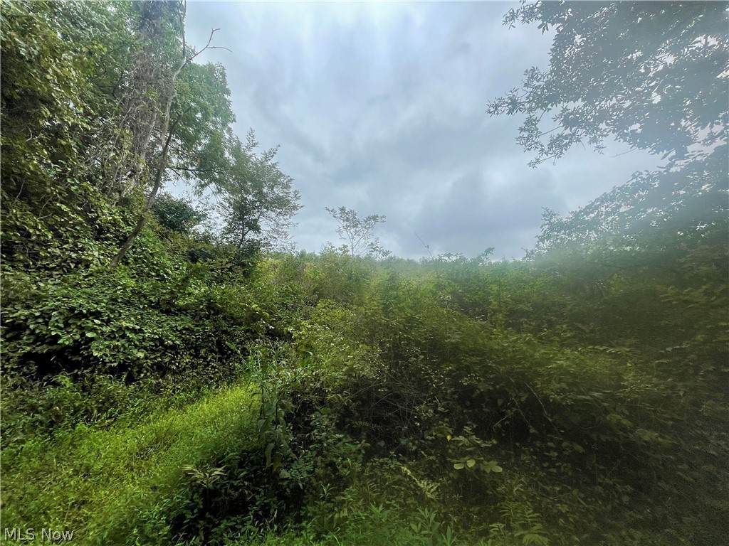 Close Rd. - Photo 1