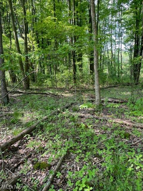 4767 Cooper Road - Photo 1