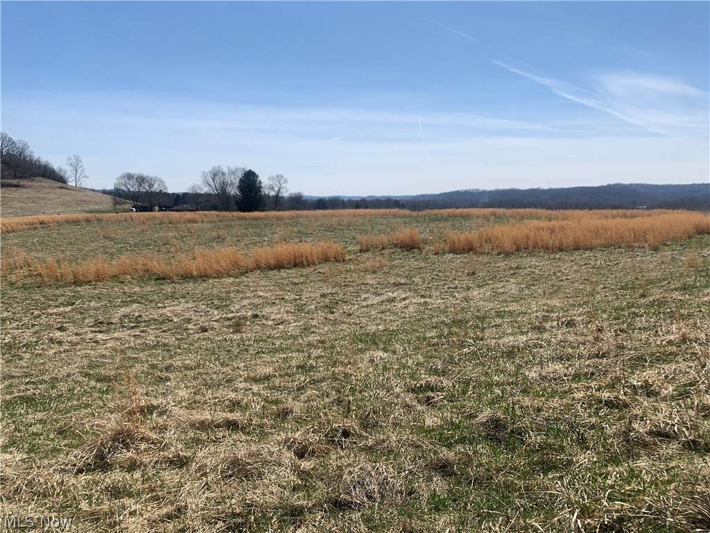 Baltzley Valley Road - Photo 1
