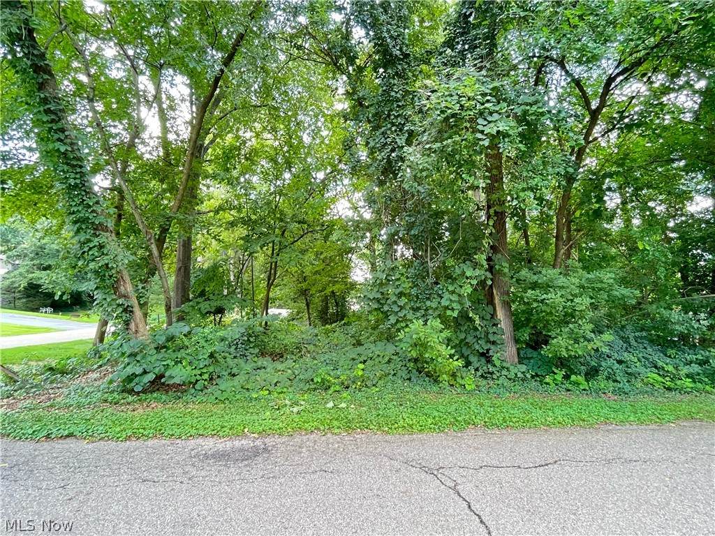 332 Channel Avenue - Photo 1