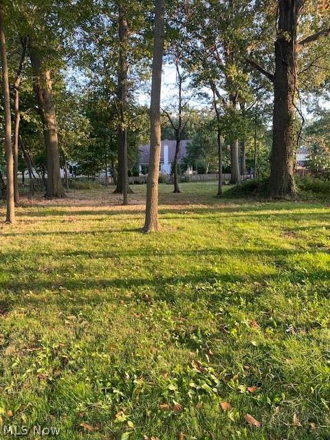 V/L Lake Road - Photo 1