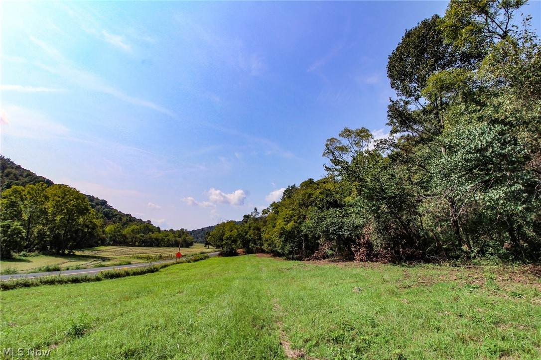0 Harrietsville Road - Photo 1