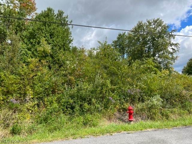 2689 Babcock Road - Photo 1