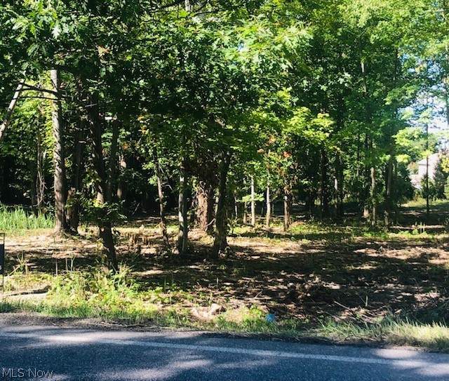 10311 Pinecrest Road - Photo 1
