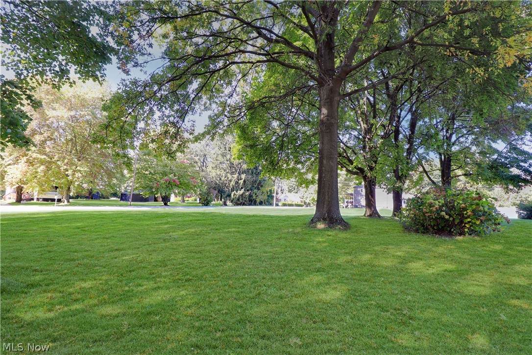 V/L Denaple Avenue - Photo 1