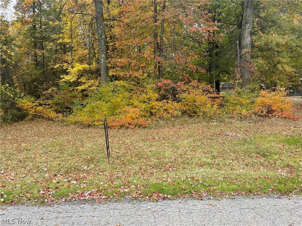 Virginia Drive - Photo 1