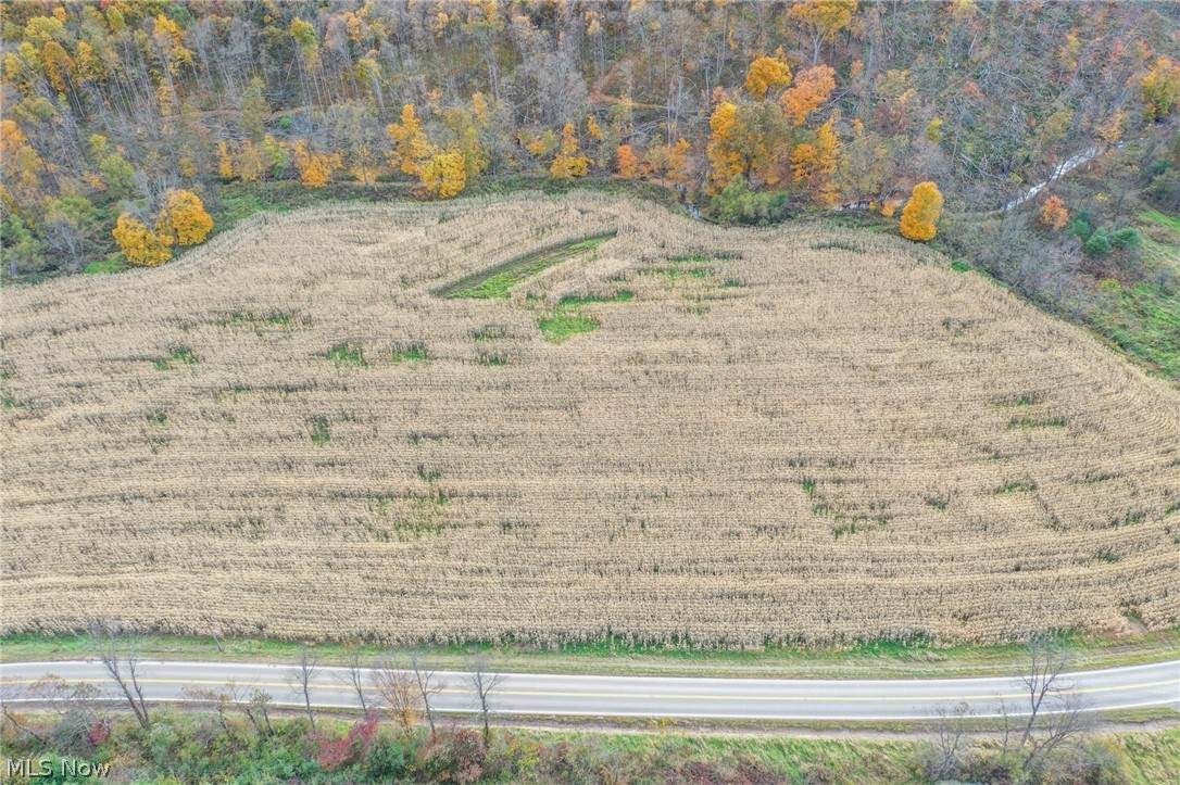 Adamsville Road - Photo 1