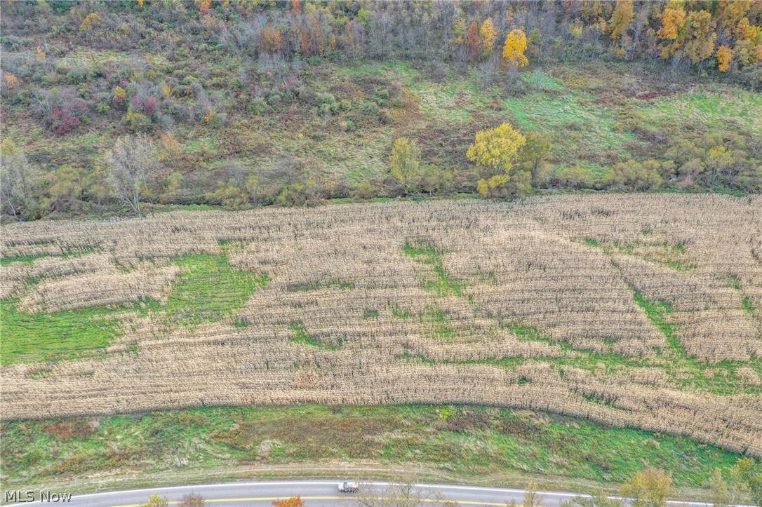 Lot 3 Adamsville Road - Photo 1