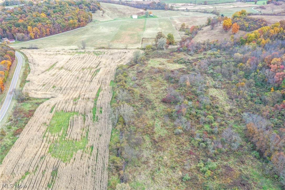 Lot 5 Adamsville Road - Photo 1