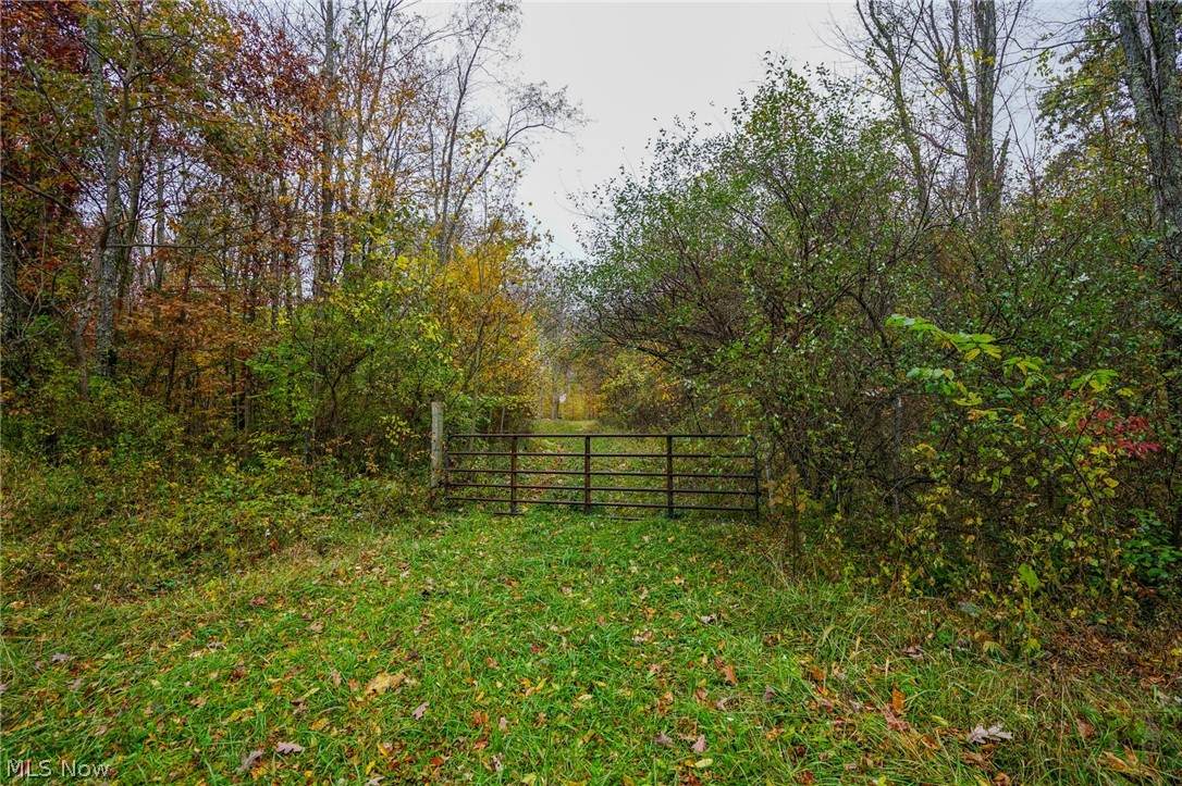 Brushy Hill Road - Photo 1