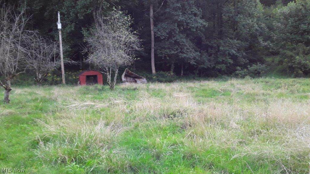 218 Big Pigeon Road - Photo 1