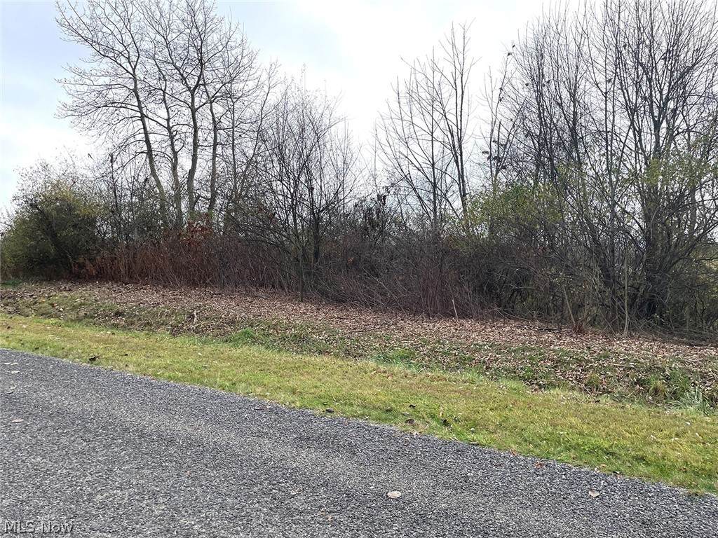 7733 View Lane - Photo 1
