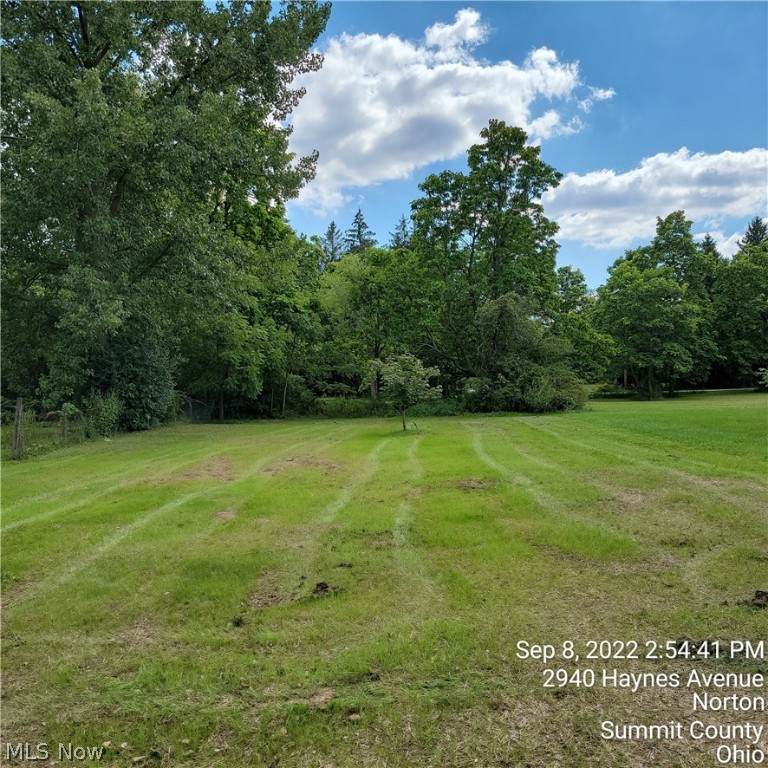 2952 Maple Street - Photo 1