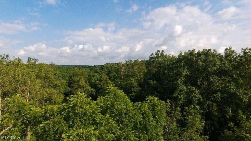 498 Solon Road - Photo 1