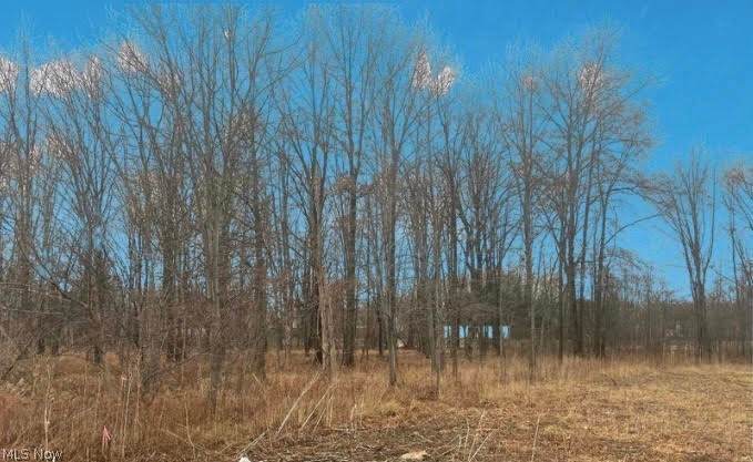 Schady Rd - Photo 1
