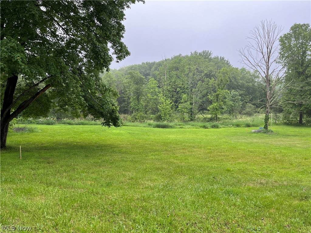 Cleveland Massillon Road - Photo 1