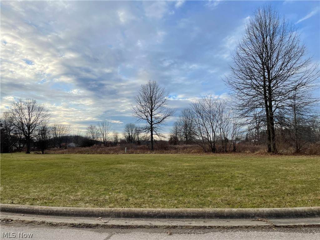 Kutcham Drive - Photo 1