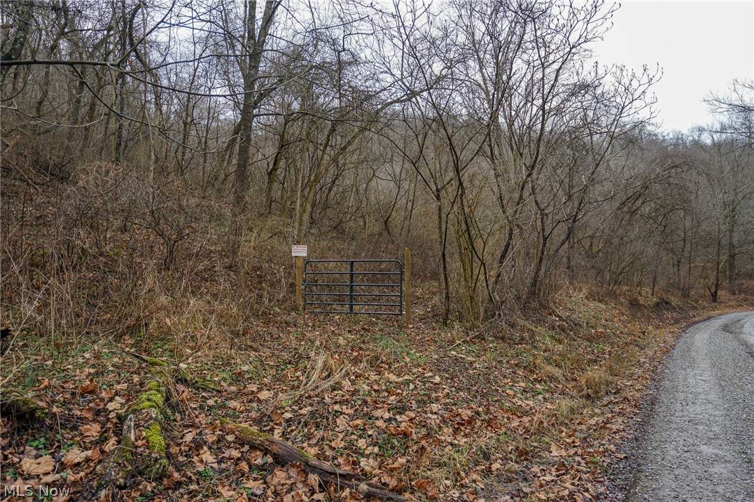 0 Trough Run Road - Photo 1