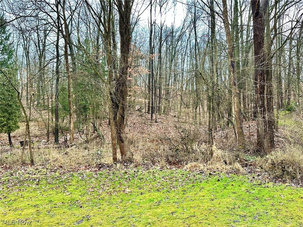 Greenhaven - Photo 1