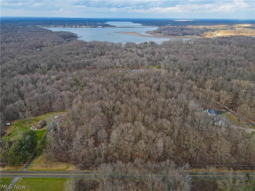 Scott Cliff Drive - Photo 1
