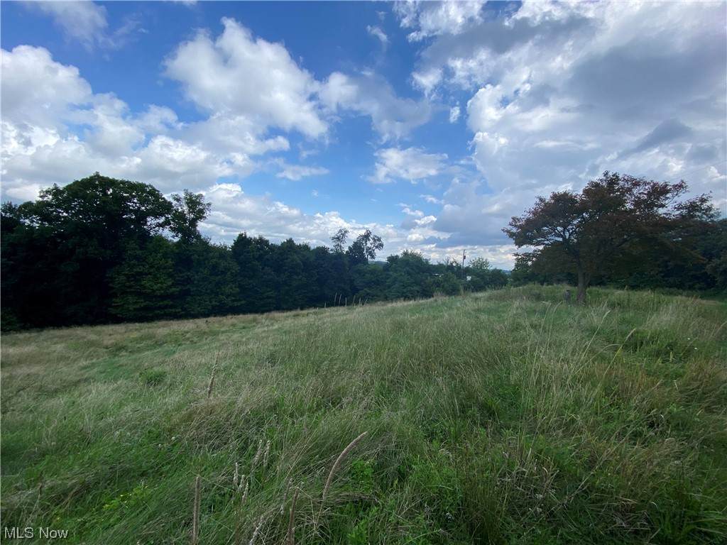 50905 National Road - Photo 1