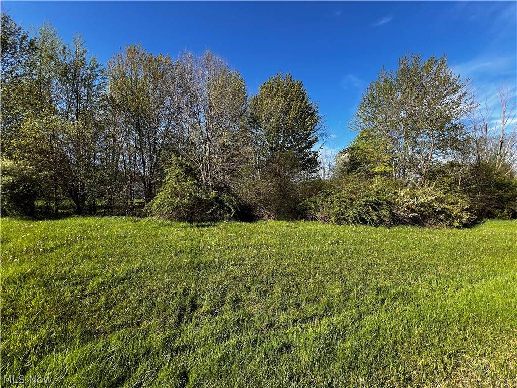 952 Lunar Lane - Photo 1