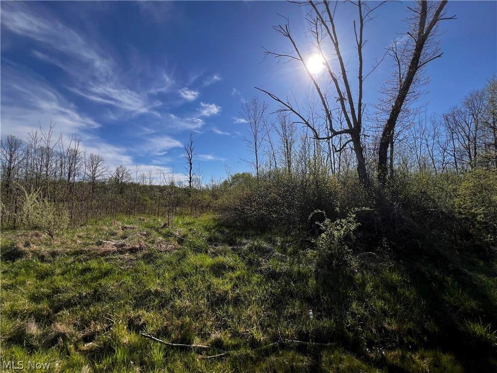 683 Rome Rock Creek Road - Photo 1