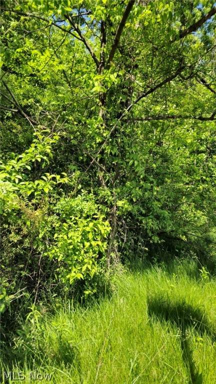  Harvard Road - Photo 1