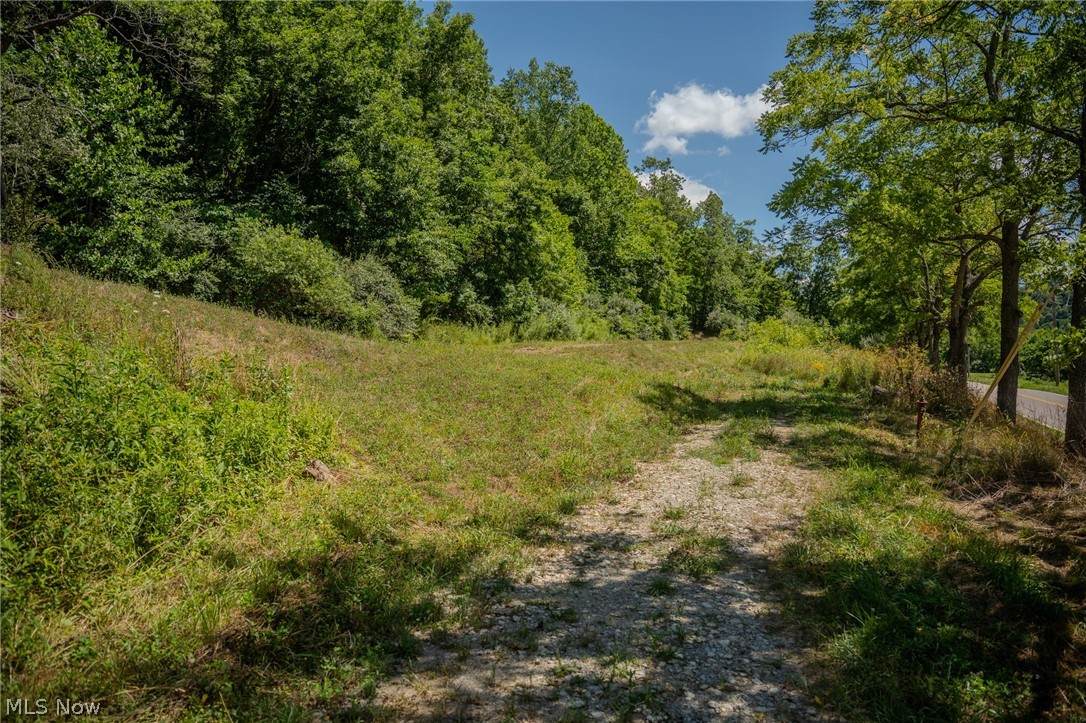 0 Harrietsville Road - Photo 1