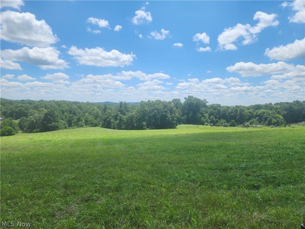 0 Shaver Road - Photo 1